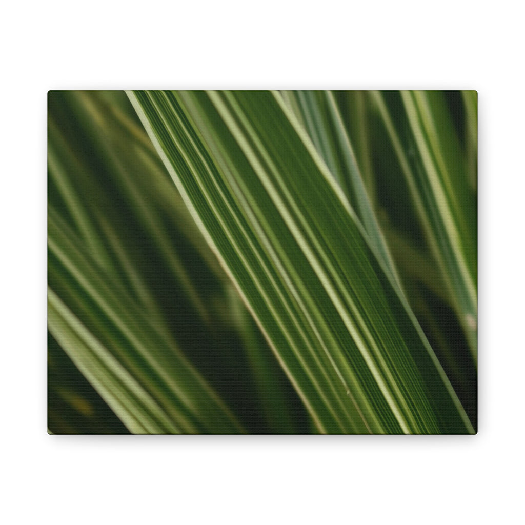 The Flower Archives- 002