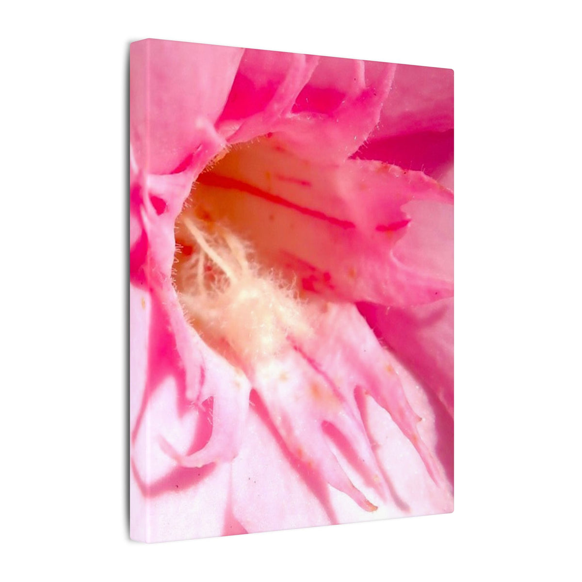 The Flowers Archives - 001