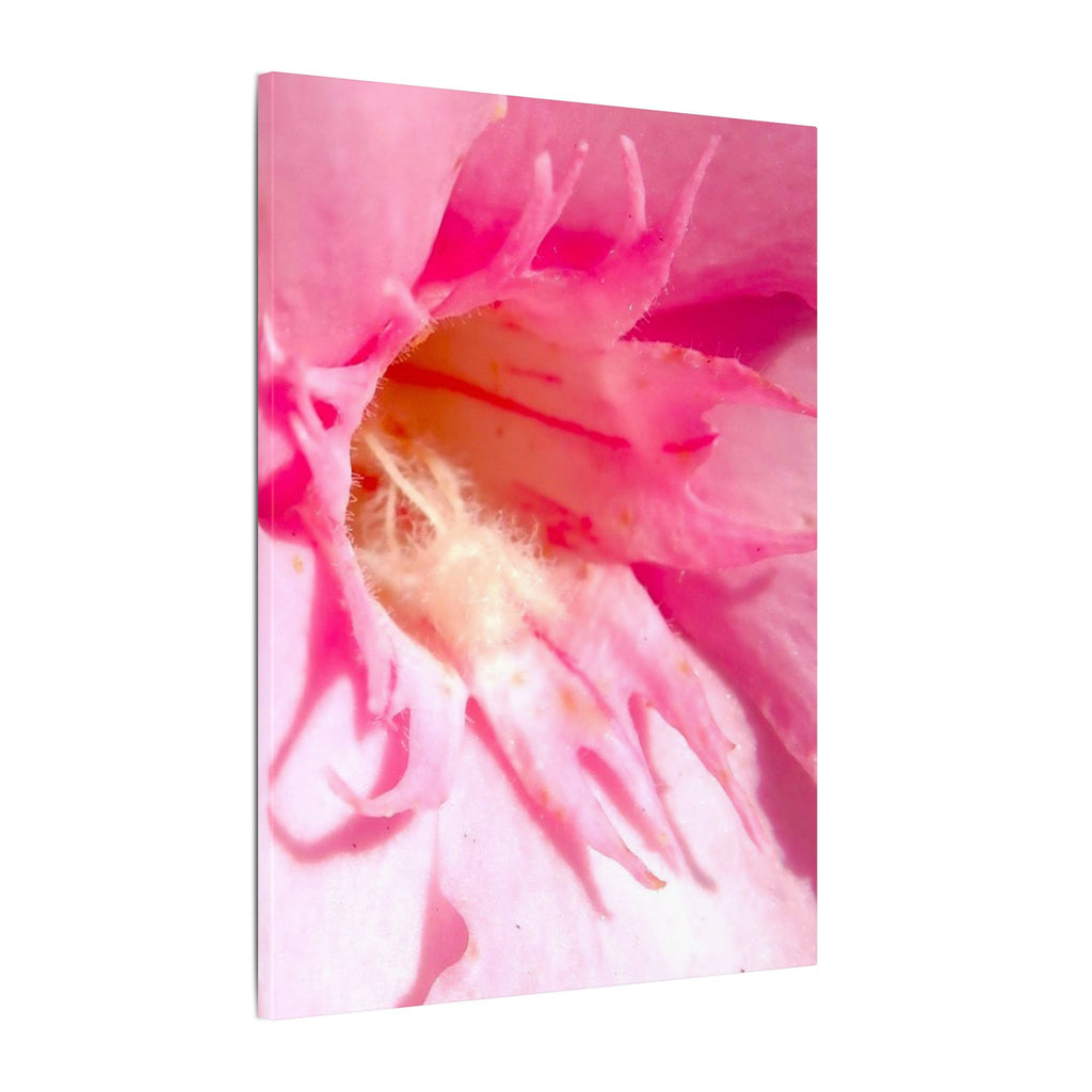 The Flowers Archives - 001