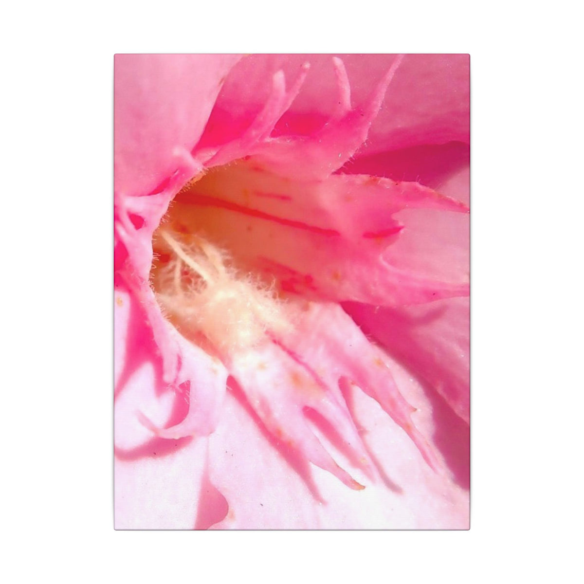 The Flowers Archives - 001
