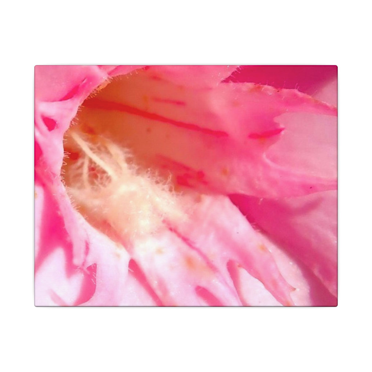 The Flowers Archives - 001