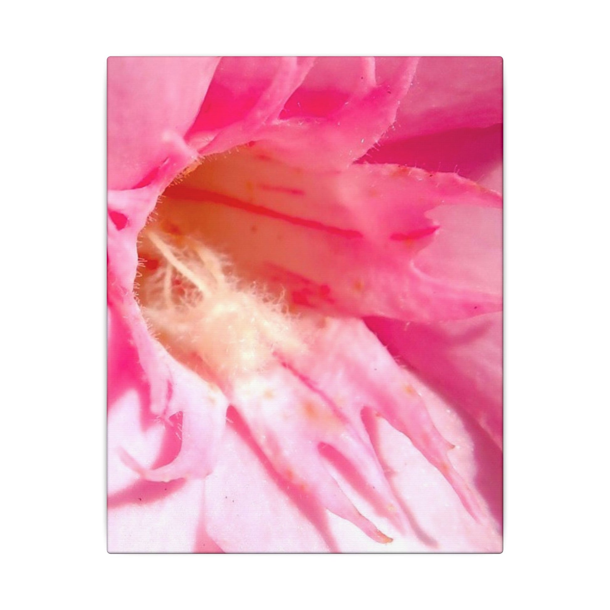 The Flowers Archives - 001
