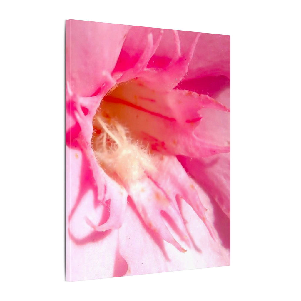The Flowers Archives - 001