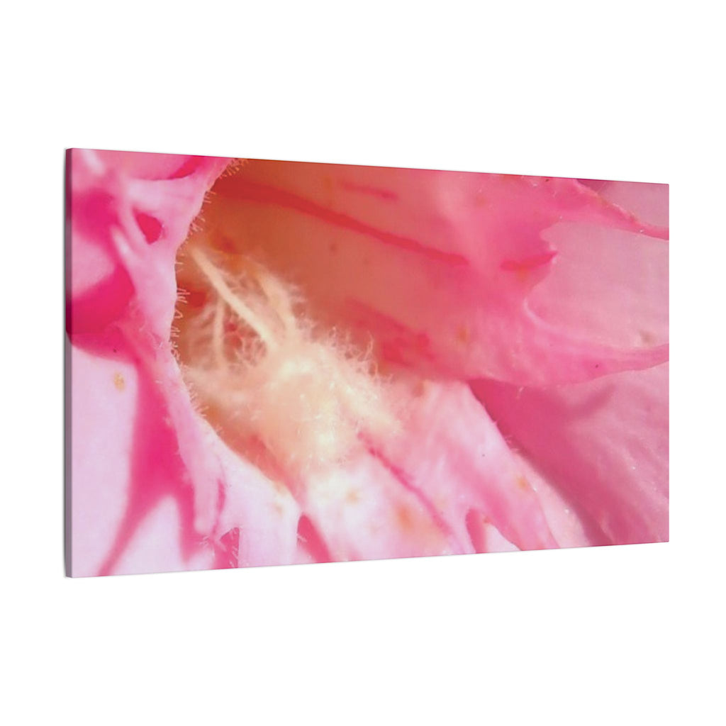 The Flowers Archives - 001