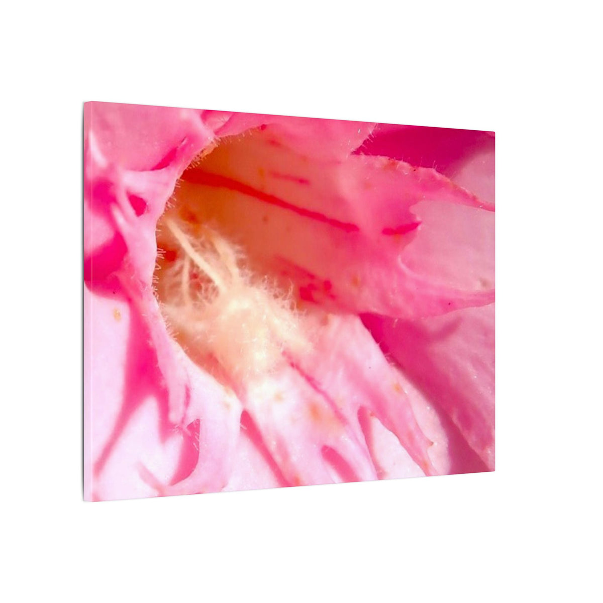 The Flowers Archives - 001
