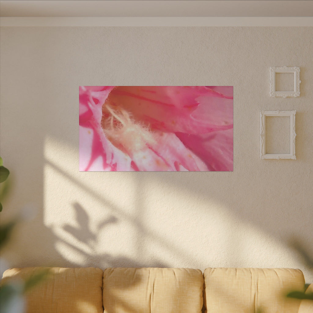 The Flowers Archives - 001