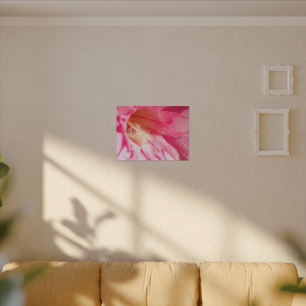The Flowers Archives - 001