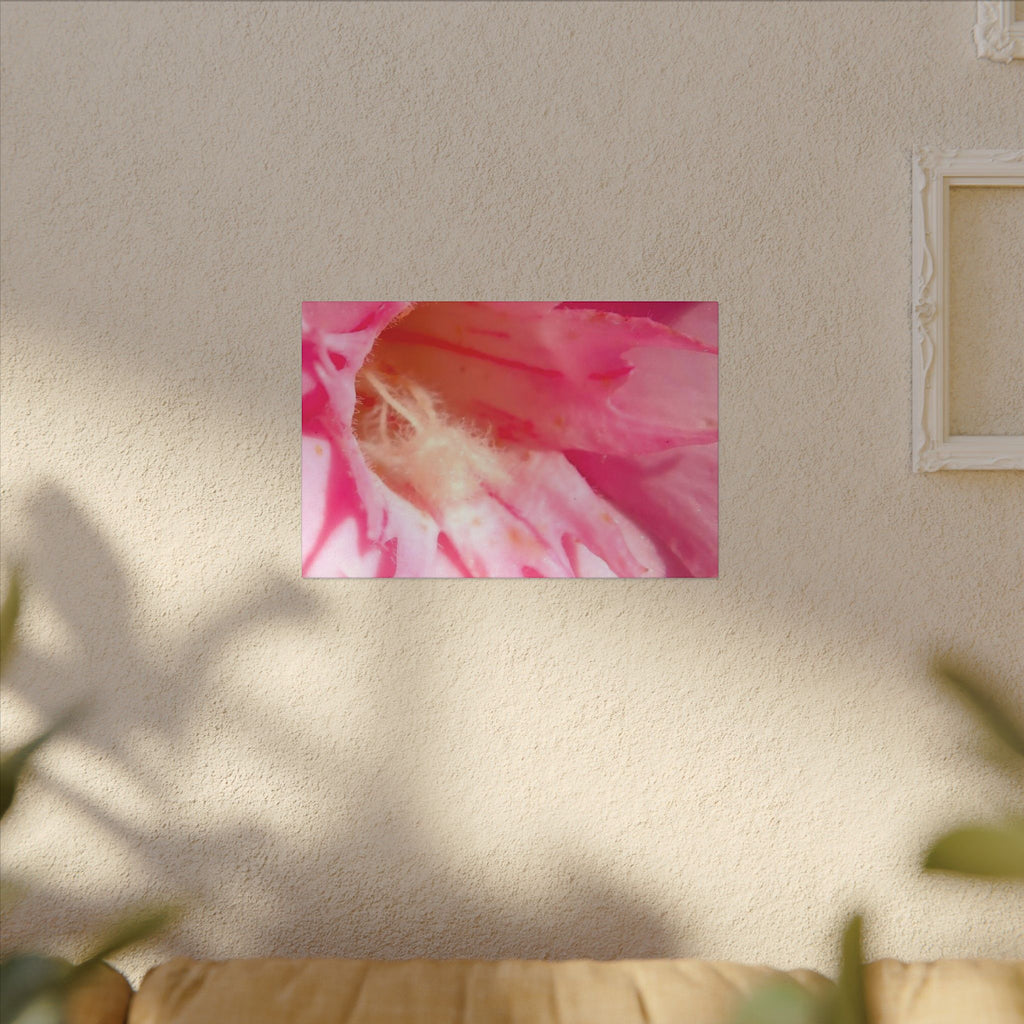 The Flowers Archives - 001