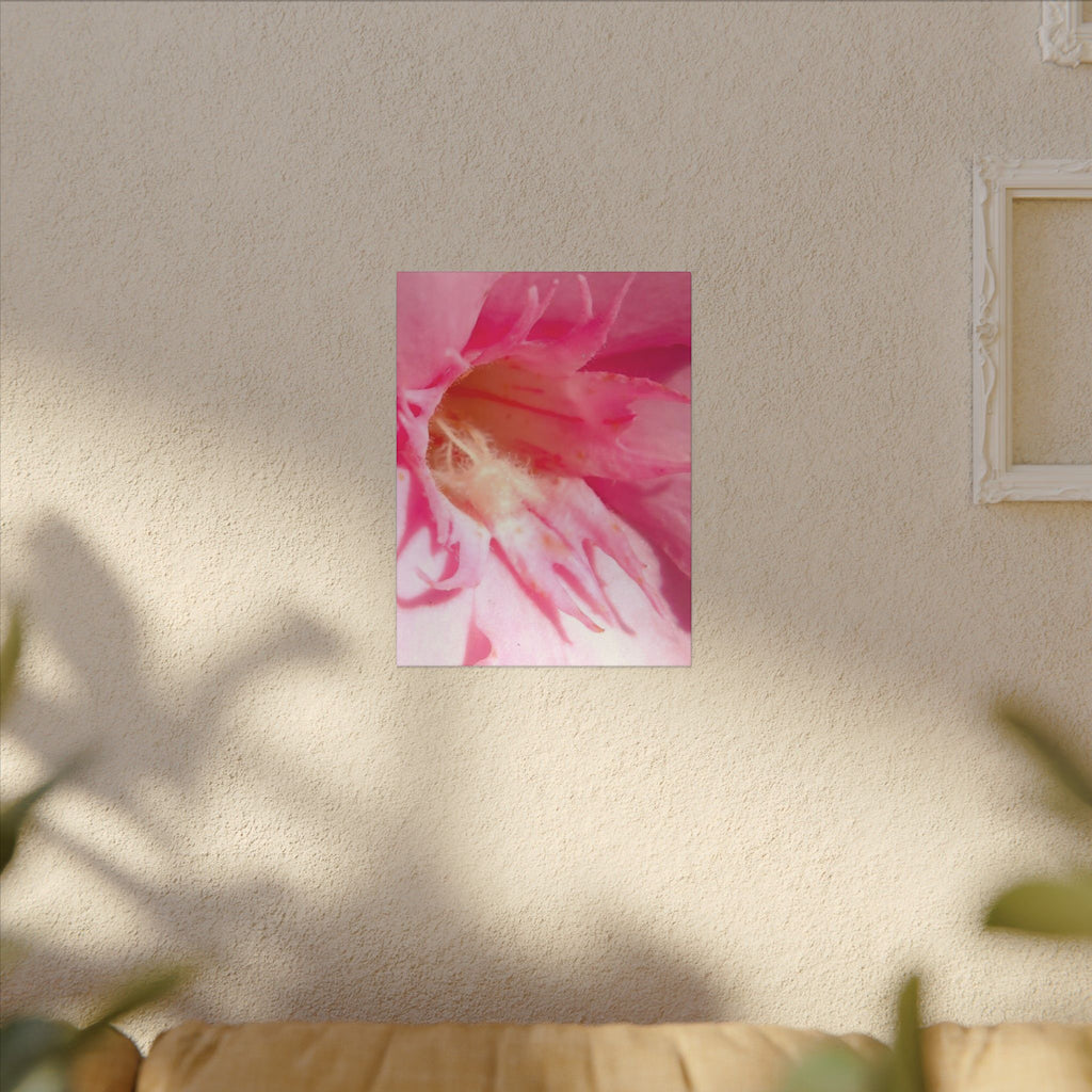 The Flowers Archives - 001