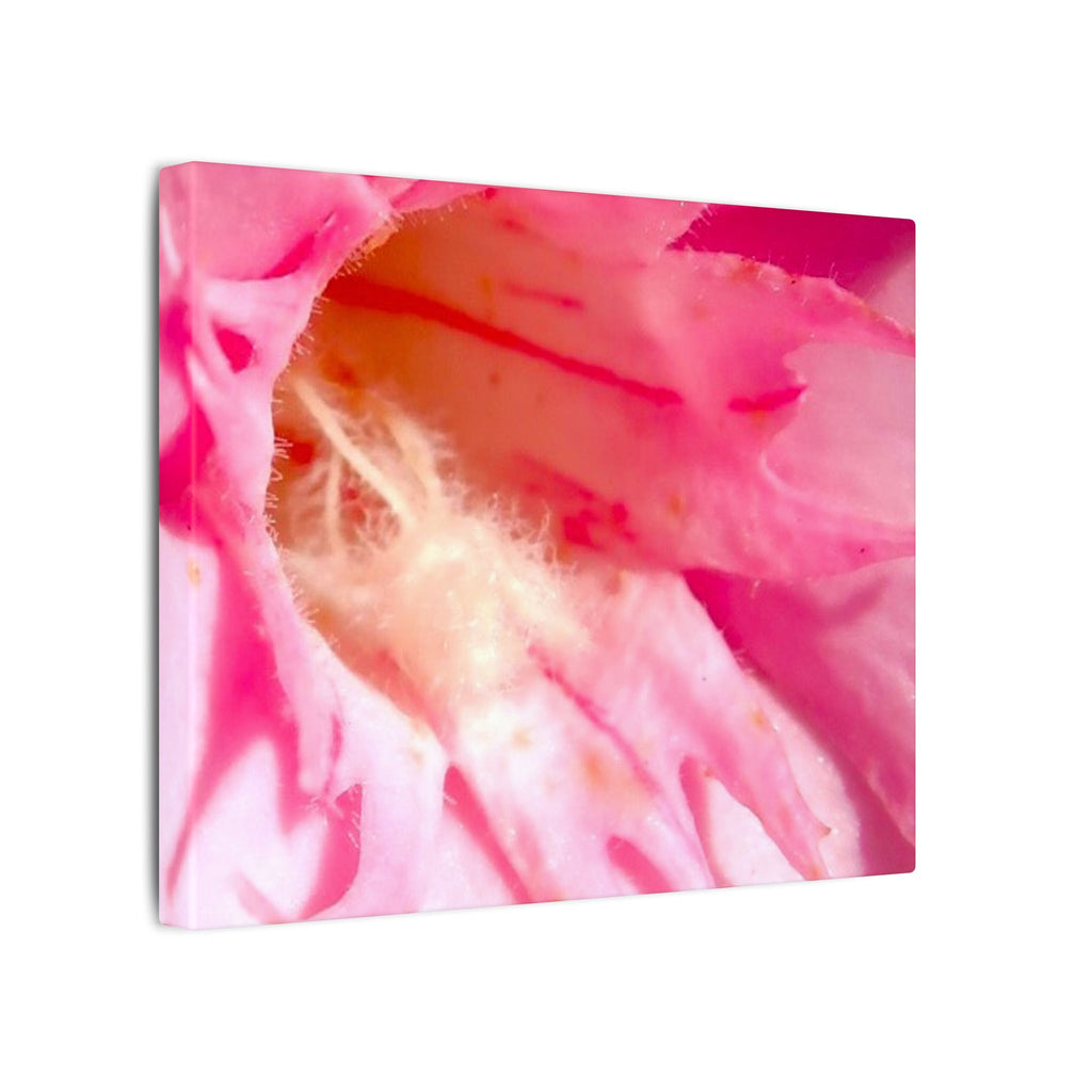 The Flowers Archives - 001