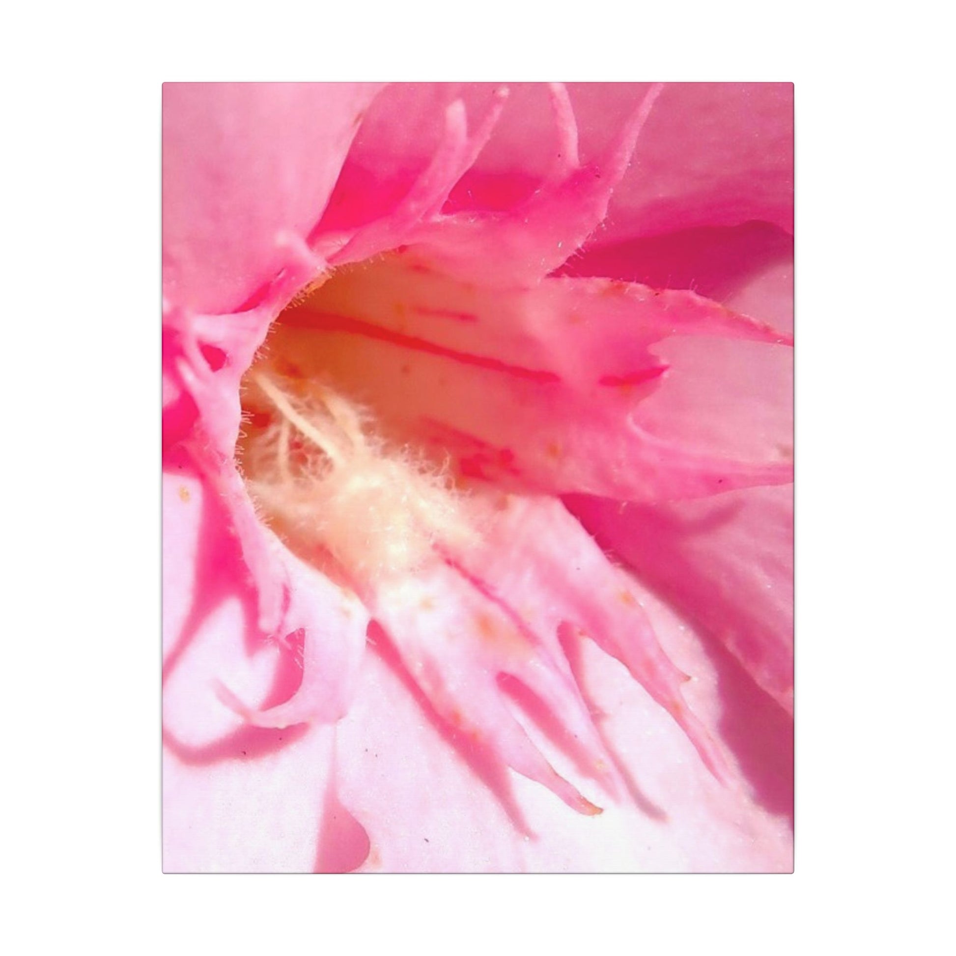 The Flowers Archives - 001