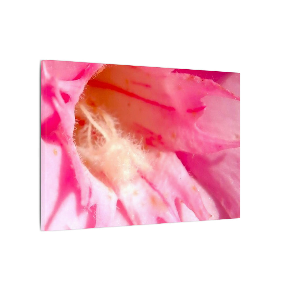 The Flowers Archives - 001