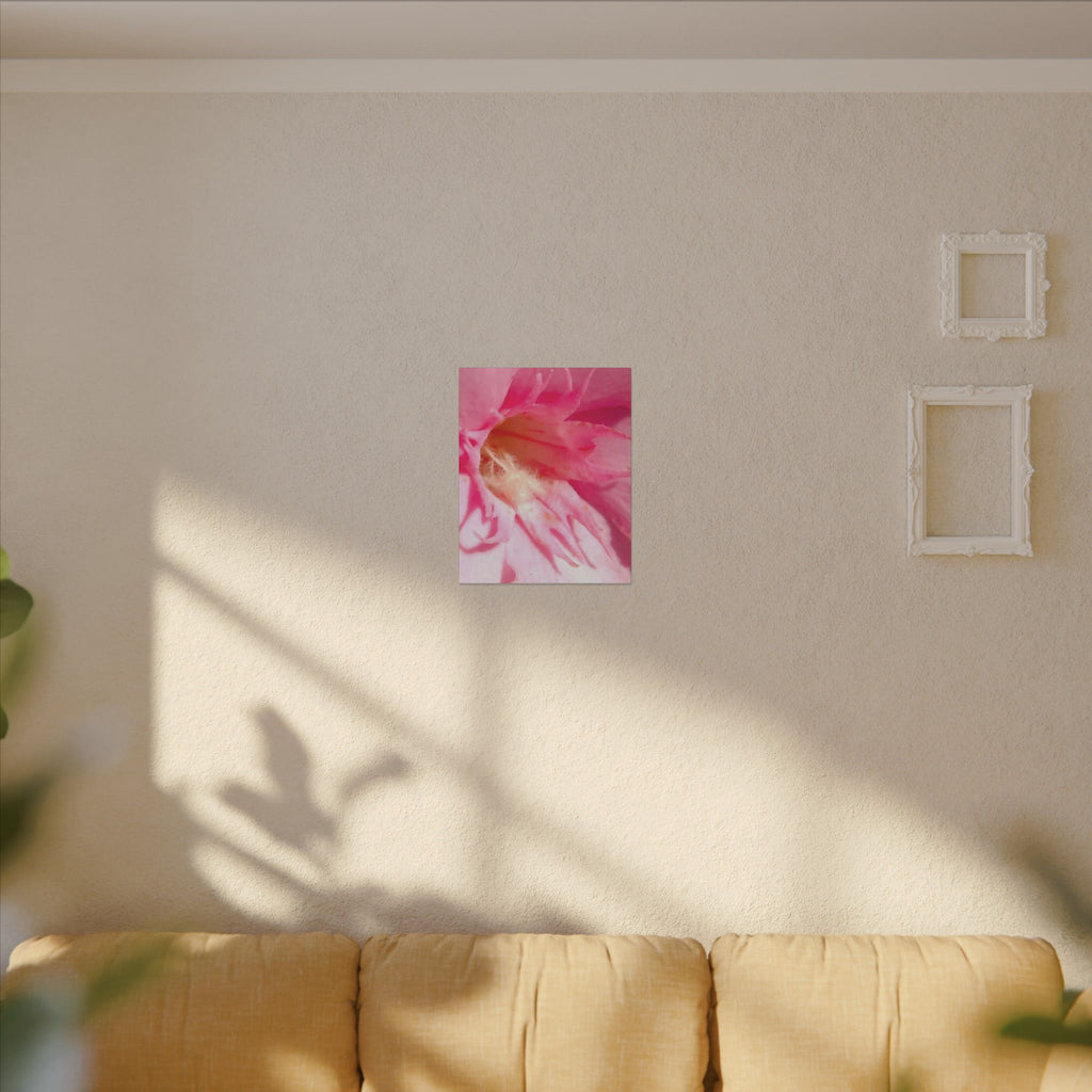 The Flowers Archives - 001