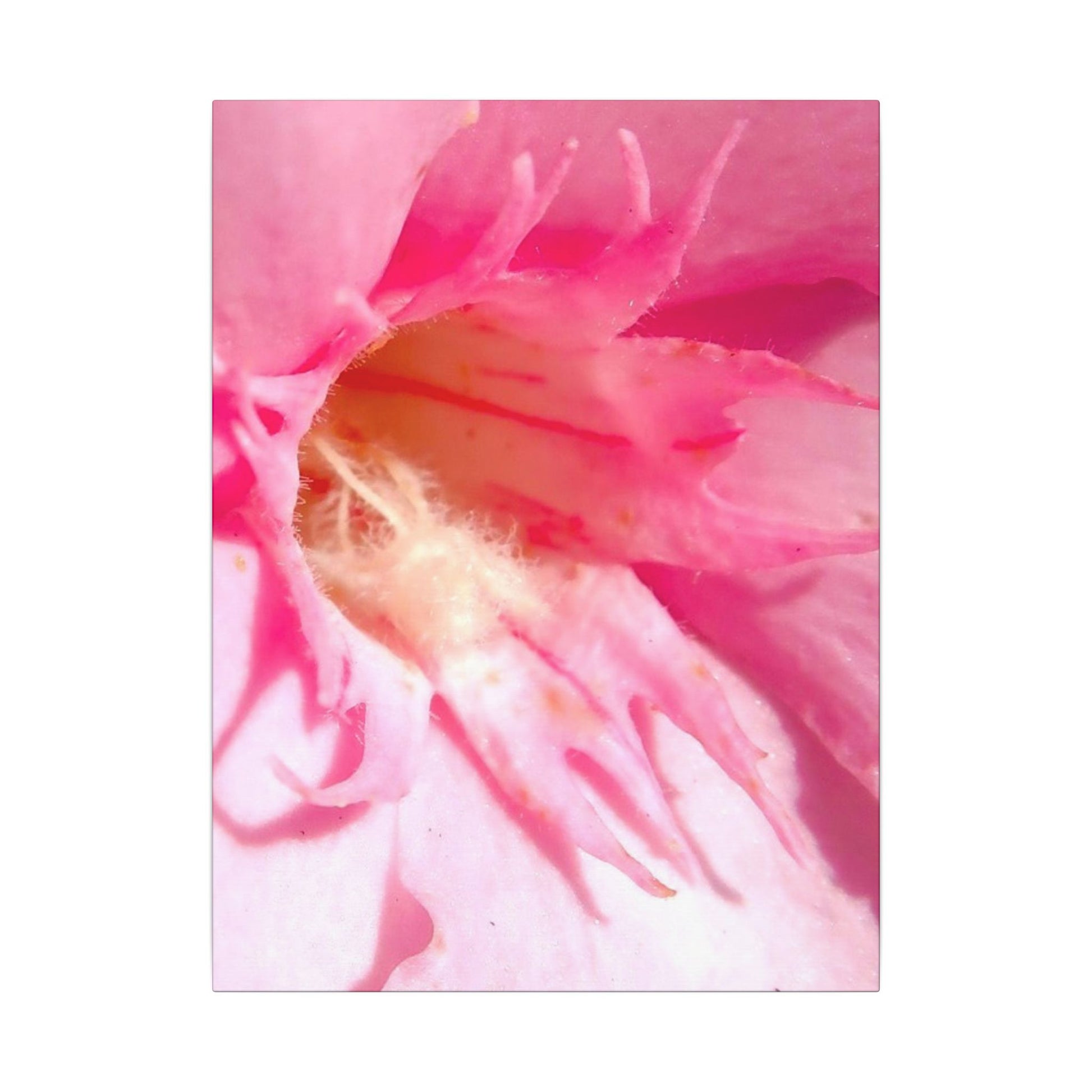 The Flowers Archives - 001