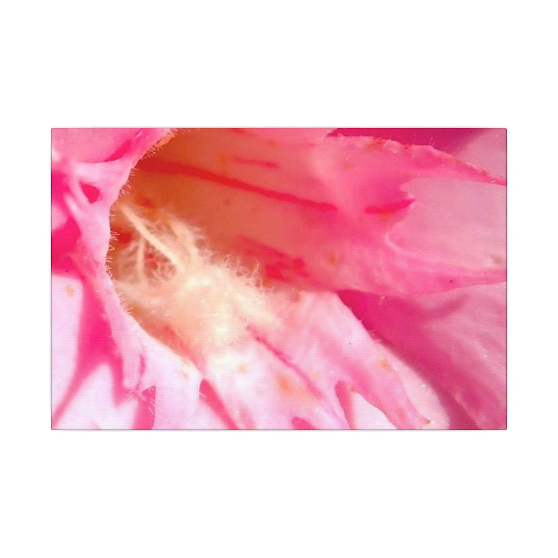 The Flowers Archives - 001